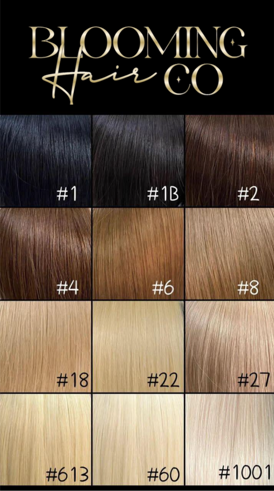 24IN 1B Genius Wefts 100 grams